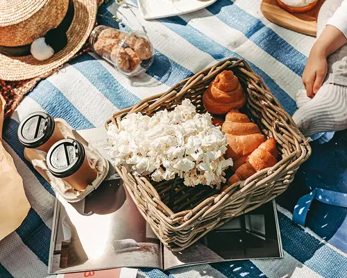 Picnic